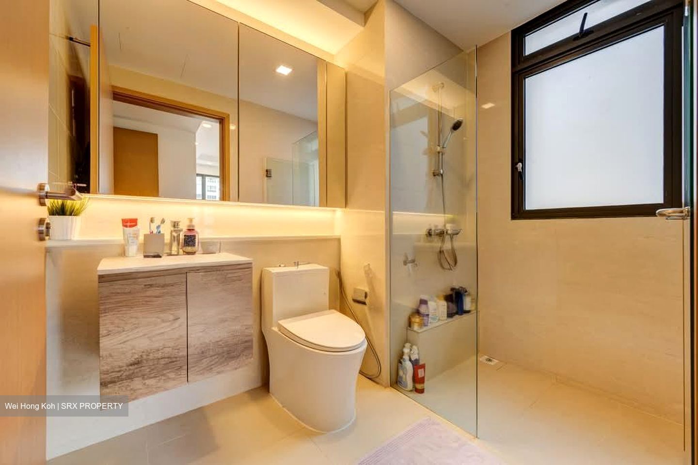 Twin Waterfalls (D19), Condominium #586780891
